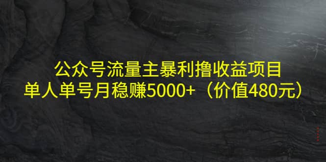 公众号流量主暴利撸收益项目，单人单号月稳赚5000+（价值480元）瀚萌资源网-网赚网-网赚项目网-虚拟资源网-国学资源网-易学资源网-本站有全网最新网赚项目-易学课程资源-中医课程资源的在线下载网站！瀚萌资源网