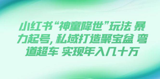 小红书“神童降世”玩法 暴力起号,私域打造聚宝盆 弯道超车 实现年入几十万瀚萌资源网-网赚网-网赚项目网-虚拟资源网-国学资源网-易学资源网-本站有全网最新网赚项目-易学课程资源-中医课程资源的在线下载网站！瀚萌资源网