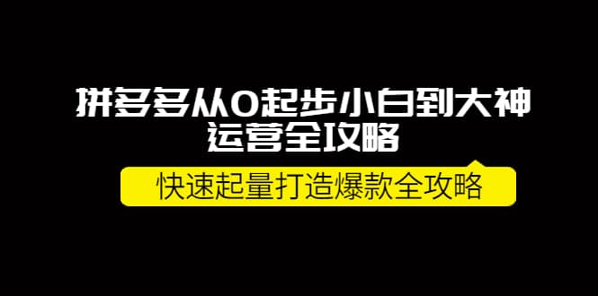 拼多多从0起步小白到大神运营全攻略瀚萌资源网-网赚网-网赚项目网-虚拟资源网-国学资源网-易学资源网-本站有全网最新网赚项目-易学课程资源-中医课程资源的在线下载网站！瀚萌资源网