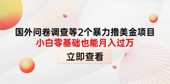 国外问卷调查等2个暴力撸美元项目，小白零基础也能月入过万瀚萌资源网-网赚网-网赚项目网-虚拟资源网-国学资源网-易学资源网-本站有全网最新网赚项目-易学课程资源-中医课程资源的在线下载网站！瀚萌资源网