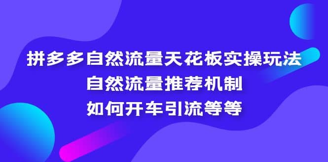 拼多多自然流量天花板实操玩法：自然流量推荐机制，如何开车引流等等瀚萌资源网-网赚网-网赚项目网-虚拟资源网-国学资源网-易学资源网-本站有全网最新网赚项目-易学课程资源-中医课程资源的在线下载网站！瀚萌资源网