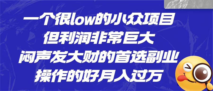 一个很low的小众项目，但利润非常巨大，闷声发大财的首选副业，月入过万瀚萌资源网-网赚网-网赚项目网-虚拟资源网-国学资源网-易学资源网-本站有全网最新网赚项目-易学课程资源-中医课程资源的在线下载网站！瀚萌资源网