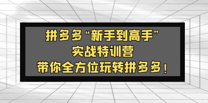 拼多多“新手到高手”实战特训营：带你全方位玩转拼多多瀚萌资源网-网赚网-网赚项目网-虚拟资源网-国学资源网-易学资源网-本站有全网最新网赚项目-易学课程资源-中医课程资源的在线下载网站！瀚萌资源网