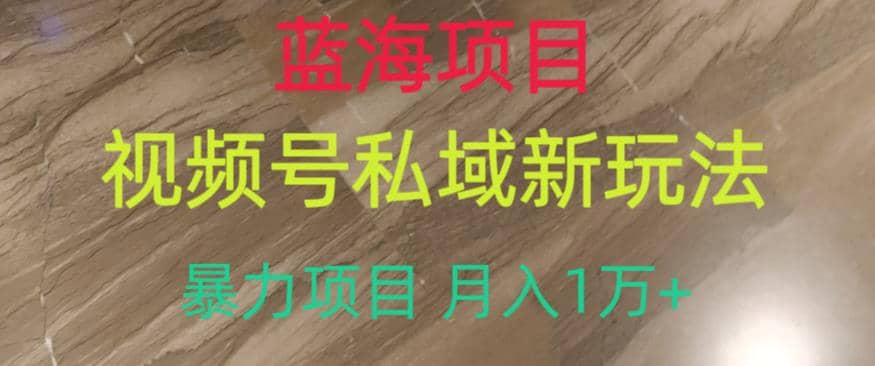 蓝海项目，视频号私域新玩法，暴力项目月入1万+【揭秘】瀚萌资源网-网赚网-网赚项目网-虚拟资源网-国学资源网-易学资源网-本站有全网最新网赚项目-易学课程资源-中医课程资源的在线下载网站！瀚萌资源网