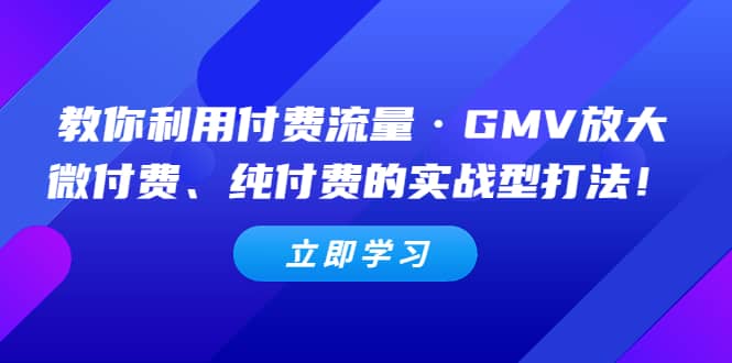 教你利用付费流量·GMV放大，微付费、纯付费的实战型打法-瀚萌资源网-网赚网-网赚项目网-虚拟资源网-国学资源网-易学资源网-本站有全网最新网赚项目-易学课程资源-中医课程资源的在线下载网站！瀚萌资源网