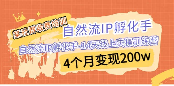 某社群收费培训：自然流IP 孵化手-14天线上实操训练营 4个月变现200w瀚萌资源网-网赚网-网赚项目网-虚拟资源网-国学资源网-易学资源网-本站有全网最新网赚项目-易学课程资源-中医课程资源的在线下载网站！瀚萌资源网