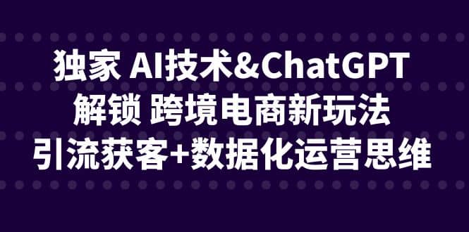 独家 AI技术ChatGPT解锁 跨境电商新玩法，引流获客+数据化运营思维瀚萌资源网-网赚网-网赚项目网-虚拟资源网-国学资源网-易学资源网-本站有全网最新网赚项目-易学课程资源-中医课程资源的在线下载网站！瀚萌资源网