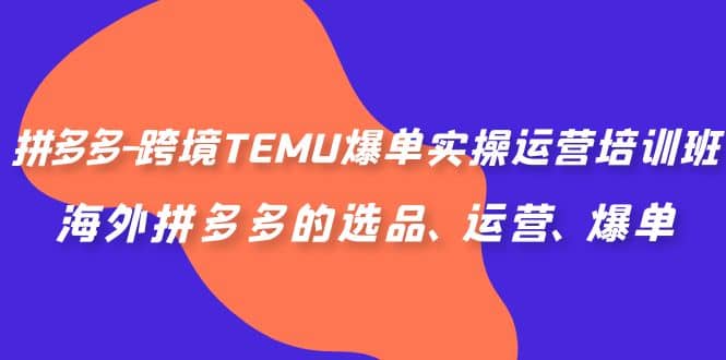 拼多多-跨境TEMU爆单实操运营培训班，海外拼多多的选品、运营、爆单瀚萌资源网-网赚网-网赚项目网-虚拟资源网-国学资源网-易学资源网-本站有全网最新网赚项目-易学课程资源-中医课程资源的在线下载网站！瀚萌资源网