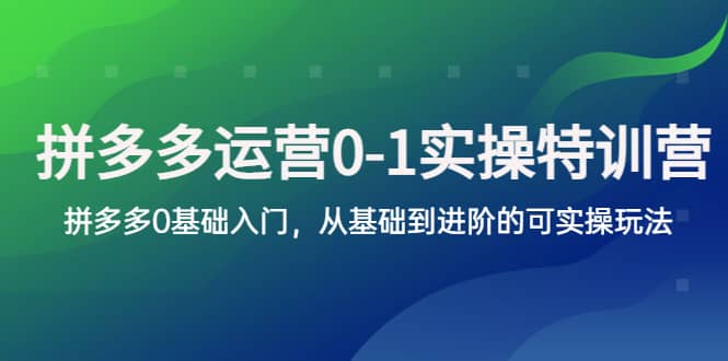 拼多多-运营0-1实操训练营，拼多多0基础入门，从基础到进阶的可实操玩法瀚萌资源网-网赚网-网赚项目网-虚拟资源网-国学资源网-易学资源网-本站有全网最新网赚项目-易学课程资源-中医课程资源的在线下载网站！瀚萌资源网