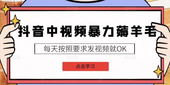 2022抖音中视频暴力薅羊毛白嫖项目：新号每天20块，老号几天几百块，可多号瀚萌资源网-网赚网-网赚项目网-虚拟资源网-国学资源网-易学资源网-本站有全网最新网赚项目-易学课程资源-中医课程资源的在线下载网站！瀚萌资源网