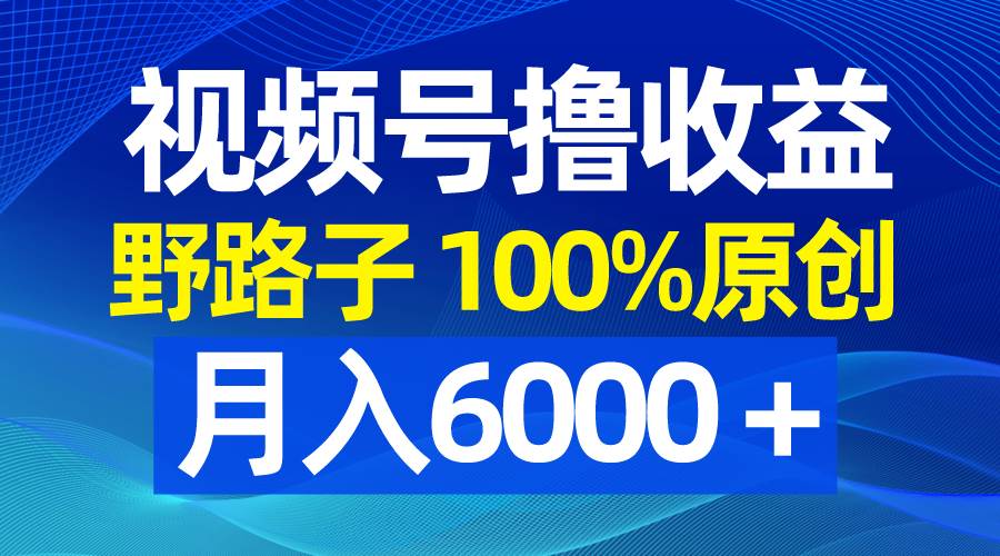 视频号野路子撸收益，100%原创，条条爆款，月入6000＋瀚萌资源网-网赚网-网赚项目网-虚拟资源网-国学资源网-易学资源网-本站有全网最新网赚项目-易学课程资源-中医课程资源的在线下载网站！瀚萌资源网