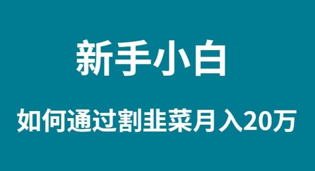 新手小白如何通过割韭菜月入 20W瀚萌资源网-网赚网-网赚项目网-虚拟资源网-国学资源网-易学资源网-本站有全网最新网赚项目-易学课程资源-中医课程资源的在线下载网站！瀚萌资源网