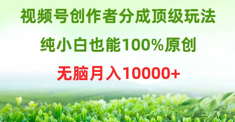 视频号创作者分成顶级玩法，纯小白也能100%原创，无脑月入10000+瀚萌资源网-网赚网-网赚项目网-虚拟资源网-国学资源网-易学资源网-本站有全网最新网赚项目-易学课程资源-中医课程资源的在线下载网站！瀚萌资源网