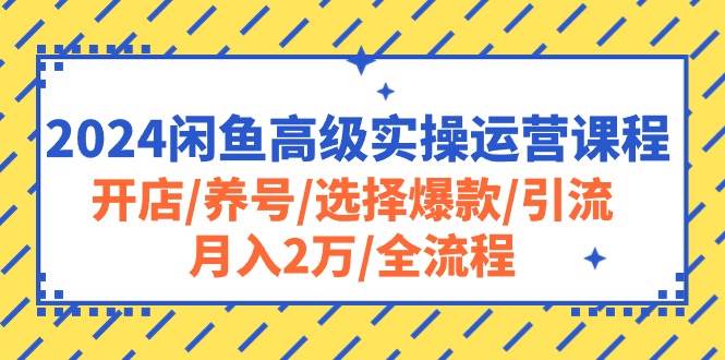 2024闲鱼高级实操运营课程：开店/养号/选择爆款/引流/月入2万/全流程瀚萌资源网-网赚网-网赚项目网-虚拟资源网-国学资源网-易学资源网-本站有全网最新网赚项目-易学课程资源-中医课程资源的在线下载网站！瀚萌资源网