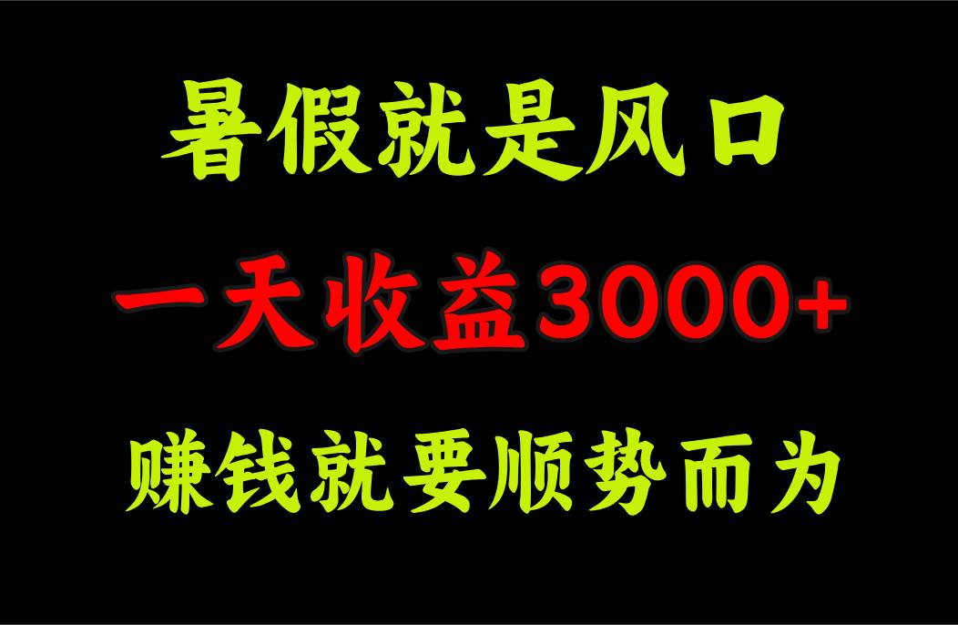 一天收益3000+ 赚钱就是顺势而为，暑假就是风口瀚萌资源网-网赚网-网赚项目网-虚拟资源网-国学资源网-易学资源网-本站有全网最新网赚项目-易学课程资源-中医课程资源的在线下载网站！瀚萌资源网