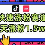 涨粉超快蓝海赛道！轻松伪原创，7天涨粉1.5w+瀚萌资源网-网赚网-网赚项目网-虚拟资源网-国学资源网-易学资源网-本站有全网最新网赚项目-易学课程资源-中医课程资源的在线下载网站！瀚萌资源网