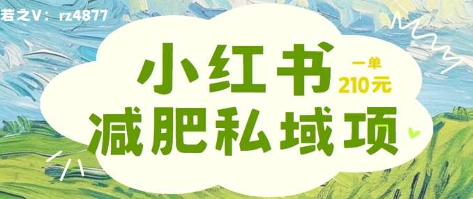 小红书减肥粉，私域变现项目，一单就达210元，小白也能轻松上手【揭秘】瀚萌资源网-网赚网-网赚项目网-虚拟资源网-国学资源网-易学资源网-本站有全网最新网赚项目-易学课程资源-中医课程资源的在线下载网站！瀚萌资源网