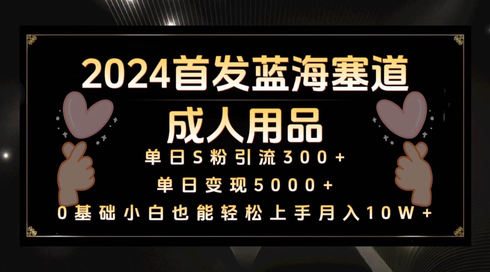 2024首发蓝海塞道成人用品，月入10W+保姆教程瀚萌资源网-网赚网-网赚项目网-虚拟资源网-国学资源网-易学资源网-本站有全网最新网赚项目-易学课程资源-中医课程资源的在线下载网站！瀚萌资源网