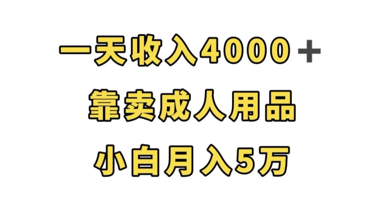 一天收入4000+,靠卖成人用品,小白轻松月入5万【揭秘】瀚萌资源网-网赚网-网赚项目网-虚拟资源网-国学资源网-易学资源网-本站有全网最新网赚项目-易学课程资源-中医课程资源的在线下载网站!瀚萌资源网