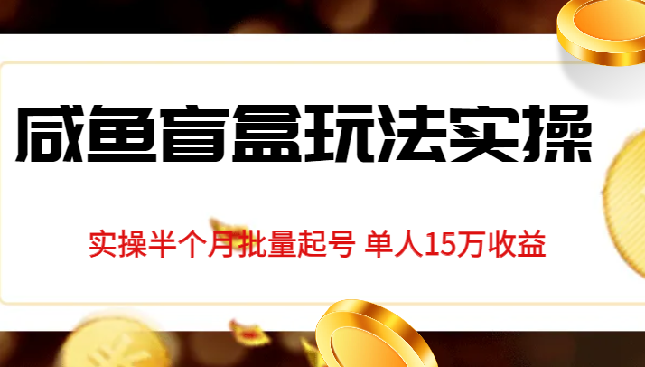 独家首发咸鱼盲盒玩法实操，半个月批量起号单人15万收益揭秘-瀚萌资源网-网赚网-网赚项目网-虚拟资源网-国学资源网-易学资源网-本站有全网最新网赚项目-易学课程资源-中医课程资源的在线下载网站！瀚萌资源网