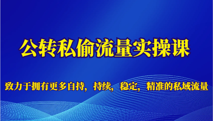 公转私偷流量实操课，致力于拥有更多自持，持续，稳定，精准的私域流量-瀚萌资源网-网赚网-网赚项目网-虚拟资源网-国学资源网-易学资源网-本站有全网最新网赚项目-易学课程资源-中医课程资源的在线下载网站！瀚萌资源网