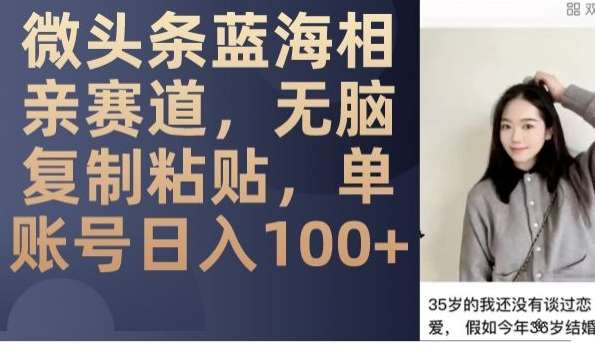 微头条蓝海相亲赛道，无脑复制粘贴，单账号日入100+瀚萌资源网-网赚网-网赚项目网-虚拟资源网-国学资源网-易学资源网-本站有全网最新网赚项目-易学课程资源-中医课程资源的在线下载网站！瀚萌资源网