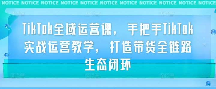 TikTok全域运营课，手把手TikTok实战运营教学，打造带货全链路生态闭环瀚萌资源网-网赚网-网赚项目网-虚拟资源网-国学资源网-易学资源网-本站有全网最新网赚项目-易学课程资源-中医课程资源的在线下载网站！瀚萌资源网