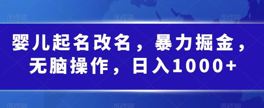 婴儿起名改名，暴力掘金，无脑操作，日入1000+【揭秘】瀚萌资源网-网赚网-网赚项目网-虚拟资源网-国学资源网-易学资源网-本站有全网最新网赚项目-易学课程资源-中医课程资源的在线下载网站！瀚萌资源网