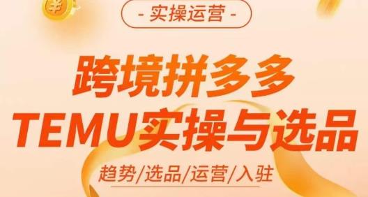 伍跃·跨境拼多多TEMU实操与选品，​趋势/选品/运营/入住（27节完整）瀚萌资源网-网赚网-网赚项目网-虚拟资源网-国学资源网-易学资源网-本站有全网最新网赚项目-易学课程资源-中医课程资源的在线下载网站！瀚萌资源网