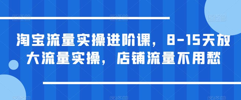 淘宝流量实操进阶课，8-15天放大流量实操，店铺流量不用愁瀚萌资源网-网赚网-网赚项目网-虚拟资源网-国学资源网-易学资源网-本站有全网最新网赚项目-易学课程资源-中医课程资源的在线下载网站！瀚萌资源网