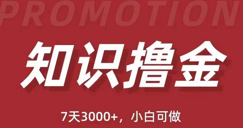 抖音知识撸金项目：简单粗暴日入1000+执行力强当天见收益(教程+资料)瀚萌资源网-网赚网-网赚项目网-虚拟资源网-国学资源网-易学资源网-本站有全网最新网赚项目-易学课程资源-中医课程资源的在线下载网站！瀚萌资源网