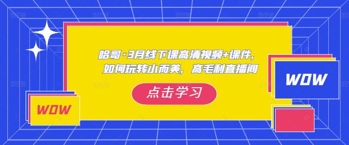 哈哥·3月线下实操课高清视频+课件，如何玩转小而美，高毛利直播间瀚萌资源网-网赚网-网赚项目网-虚拟资源网-国学资源网-易学资源网-本站有全网最新网赚项目-易学课程资源-中医课程资源的在线下载网站！瀚萌资源网