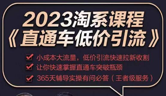 2023直通车低价引流玩法课程，小成本大流量，低价引流快速拉新收割，让你快速掌握直通车突破瓶颈瀚萌资源网-网赚网-网赚项目网-虚拟资源网-国学资源网-易学资源网-本站有全网最新网赚项目-易学课程资源-中医课程资源的在线下载网站！瀚萌资源网