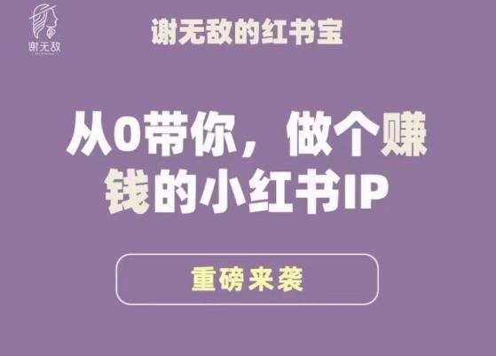 谢无敌·小红书运营大宝典，从0带你做个赚钱的小红书IP瀚萌资源网-网赚网-网赚项目网-虚拟资源网-国学资源网-易学资源网-本站有全网最新网赚项目-易学课程资源-中医课程资源的在线下载网站！瀚萌资源网