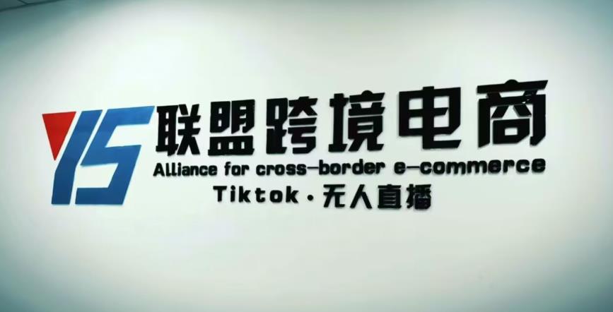 YS联盟·Tiktok无人直播，不出镜不剪辑不拍摄不发货无售后的跨境短视频躺赚玩法瀚萌资源网-网赚网-网赚项目网-虚拟资源网-国学资源网-易学资源网-本站有全网最新网赚项目-易学课程资源-中医课程资源的在线下载网站！瀚萌资源网