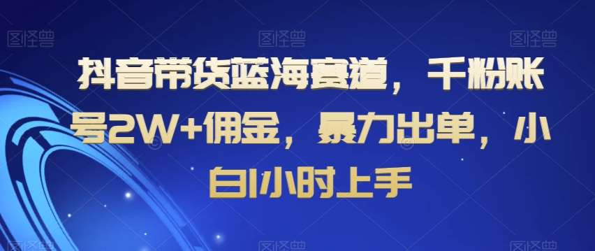 抖音带货蓝海赛道，千粉账号2W+佣金，暴力出单，小白1小时上手【揭秘】瀚萌资源网-网赚网-网赚项目网-虚拟资源网-国学资源网-易学资源网-本站有全网最新网赚项目-易学课程资源-中医课程资源的在线下载网站！瀚萌资源网