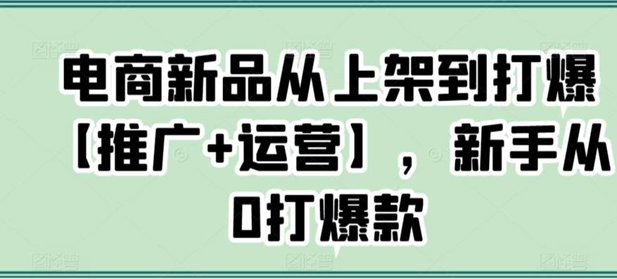 电商新品从上架到打爆【推广+运营】，新手从0打爆款瀚萌资源网-网赚网-网赚项目网-虚拟资源网-国学资源网-易学资源网-本站有全网最新网赚项目-易学课程资源-中医课程资源的在线下载网站！瀚萌资源网