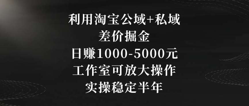 利用淘宝公域+私域差价掘金，日赚1000-5000元，工作室可放大操作，实操稳定半年【揭秘】瀚萌资源网-网赚网-网赚项目网-虚拟资源网-国学资源网-易学资源网-本站有全网最新网赚项目-易学课程资源-中医课程资源的在线下载网站！瀚萌资源网