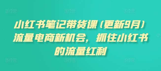 小红书笔记带货课(更新9月)流量电商新机会，抓住小红书的流量红利瀚萌资源网-网赚网-网赚项目网-虚拟资源网-国学资源网-易学资源网-本站有全网最新网赚项目-易学课程资源-中医课程资源的在线下载网站！瀚萌资源网