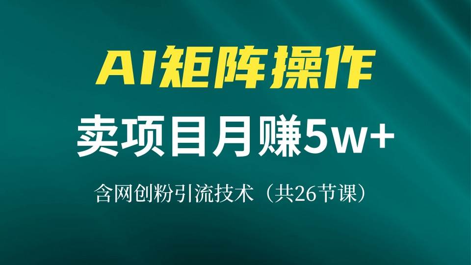 （13335期）网创IP打造课，借助AI卖项目月赚5万+，含引流技术（共26节课）-瀚萌资源网