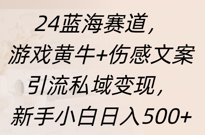 24蓝海赛道，游戏黄牛+伤感文案引流私域变现，新手日入500+瀚萌资源网-网赚网-网赚项目网-虚拟资源网-国学资源网-易学资源网-本站有全网最新网赚项目-易学课程资源-中医课程资源的在线下载网站！瀚萌资源网