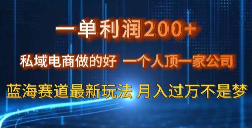 一单利润200私域电商做的好，一个人顶一家公司蓝海赛道最新玩法【揭秘】瀚萌资源网-网赚网-网赚项目网-虚拟资源网-国学资源网-易学资源网-本站有全网最新网赚项目-易学课程资源-中医课程资源的在线下载网站！瀚萌资源网