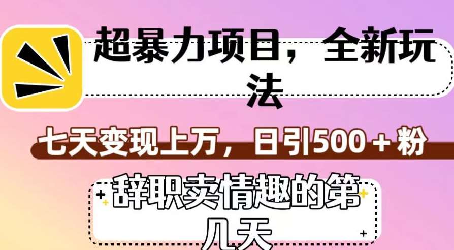 超暴利项目，全新玩法（辞职卖情趣的第几天），七天变现上万，日引500+粉【揭秘】瀚萌资源网-网赚网-网赚项目网-虚拟资源网-国学资源网-易学资源网-本站有全网最新网赚项目-易学课程资源-中医课程资源的在线下载网站！瀚萌资源网