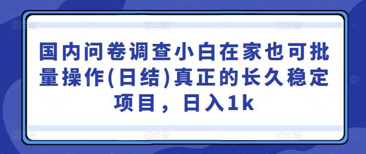 国内问卷调查小白在家也可批量操作(日结)真正的长久稳定项目，日入1k【揭秘】瀚萌资源网-网赚网-网赚项目网-虚拟资源网-国学资源网-易学资源网-本站有全网最新网赚项目-易学课程资源-中医课程资源的在线下载网站！瀚萌资源网