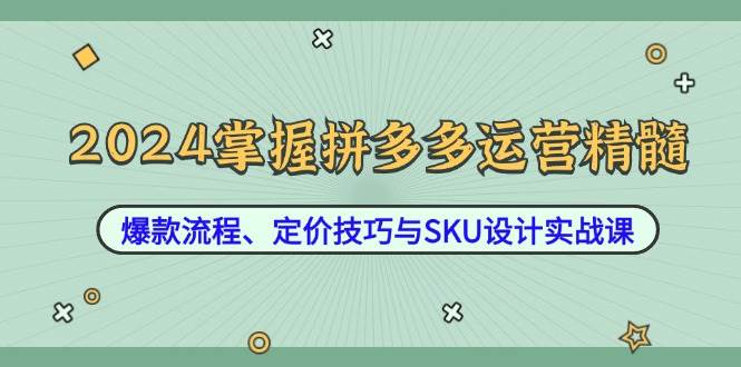 （12703期）2024掌握拼多多运营精髓：爆款流程、定价技巧与SKU设计实战课-瀚萌资源网-网赚网-网赚项目网-虚拟资源网-国学资源网-易学资源网-本站有全网最新网赚项目-易学课程资源-中医课程资源的在线下载网站！瀚萌资源网