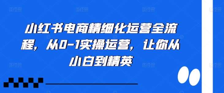 小红书电商精细化运营全流程，从0-1实操运营，让你从小白到精英瀚萌资源网-网赚网-网赚项目网-虚拟资源网-国学资源网-易学资源网-本站有全网最新网赚项目-易学课程资源-中医课程资源的在线下载网站！瀚萌资源网