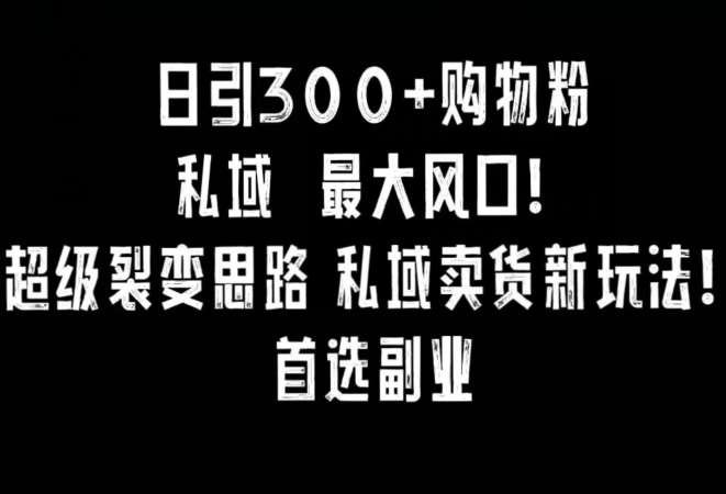日引300+购物粉,超级裂变思路,私域卖货新玩法,小红书首选副业【揭秘】瀚萌资源网-网赚网-网赚项目网-虚拟资源网-国学资源网-易学资源网-本站有全网最新网赚项目-易学课程资源-中医课程资源的在线下载网站!瀚萌资源网