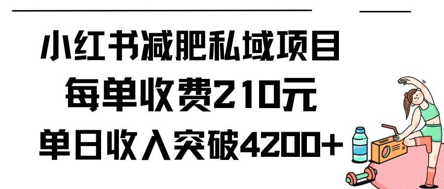 （9466期）小红书减肥私域项目每单收费210元单日成交20单，最高日入4200+瀚萌资源网-网赚网-网赚项目网-虚拟资源网-国学资源网-易学资源网-本站有全网最新网赚项目-易学课程资源-中医课程资源的在线下载网站！瀚萌资源网