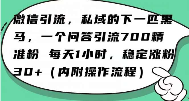 怎么搞精准创业粉？微信新赛道，每天一小时，利用Ai一个问答日引100精准粉瀚萌资源网-网赚网-网赚项目网-虚拟资源网-国学资源网-易学资源网-本站有全网最新网赚项目-易学课程资源-中医课程资源的在线下载网站！瀚萌资源网