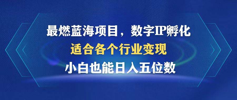 （12941期）最燃蓝海项目  数字IP孵化  适合各个行业变现  小白也能日入5位数-瀚萌资源网-网赚网-网赚项目网-虚拟资源网-国学资源网-易学资源网-本站有全网最新网赚项目-易学课程资源-中医课程资源的在线下载网站！瀚萌资源网